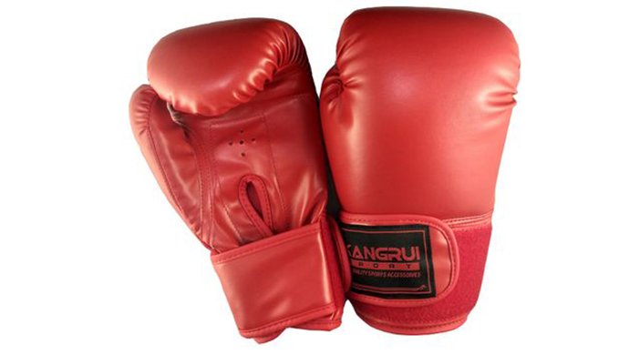 TZ-3041 Boxing Glove