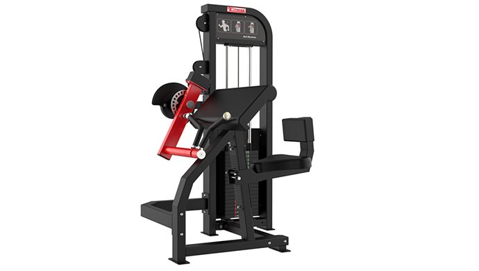 G-5086 Biceps & Triceps Machine